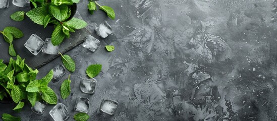 Aufkleber - Top view of a refreshing mint liqueur on a slate tray garnished with ice and mint leaves against a gray concrete surface with copy space image