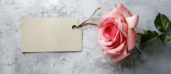 Poster - Rose with a tag on a blank backdrop for text as a copy space image