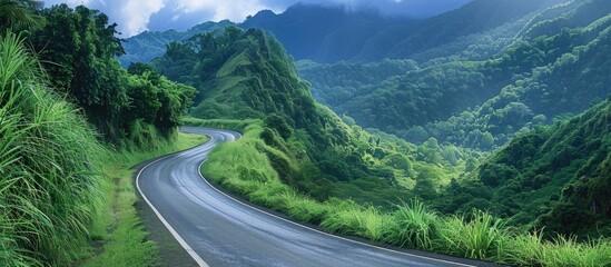 Wall Mural - Scenic highway winding through lush green mountains with ample copy space in the image