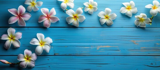 Aufkleber - A background of a blue wooden surface adorned with beautiful Plumeria flowers provides a serene copy space image