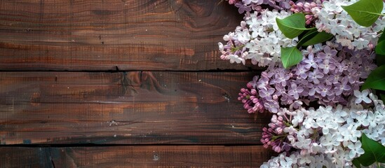 Aufkleber - Copy space image of white and purple lilac against a rich dark brown wooden backdrop