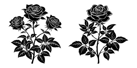 Wall Mural - Set of black roses on white background