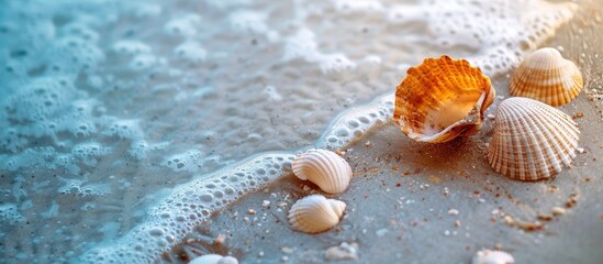 Poster - A beach setting with shells on sand textured surface focused copy space image