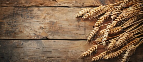 Poster - Copy space image featuring golden wheat rye ears arranged on a rustic wooden board