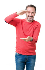 Wall Mural - Handsome middle age hoary senior man wearing winter sweater over isolated background gesturing with hands showing big and large size sign, measure symbol. Smiling looking at the camera.