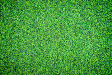 green grass texture can be use as background