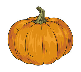 Sticker - Organic pumpkin colorful detailed element