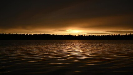 Wall Mural - A very peaceful early morning clip of a lake with small waves reflecting the morning gold colored glow as the sun rises through distant spruce trees. The sky is filled with ominous looking clouds.
