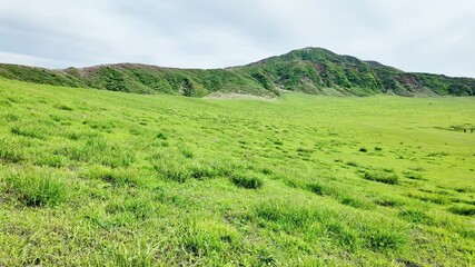Poster - 阿蘇・草千里ヶ浜の風景
