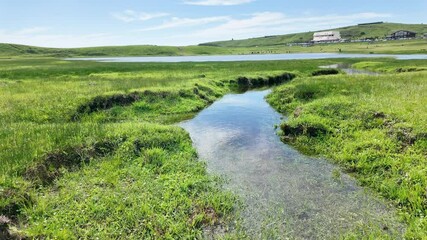 Poster - 阿蘇・草千里ヶ浜の風景