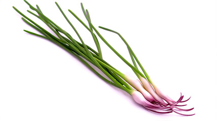 Useful popular herb chives on transparent background