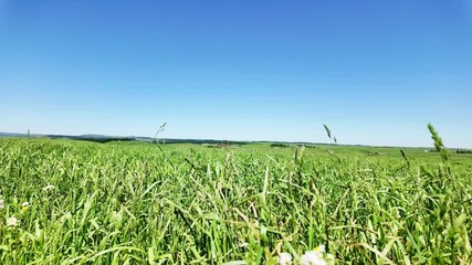 Poster - 広大な草原の風景