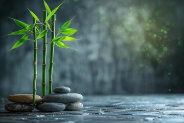 Wall Mural - Still life with green bamboo plant with stones