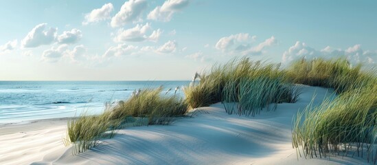 Wall Mural - Grassy sand dunes by the shore create a picturesque scene with a copy space image