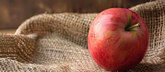 Canvas Print - A petite Gala apple against a backdrop of a sack with copy space image included