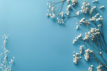 delicate white flowers are artistically arranged over a soft blue background, creating a serene and 