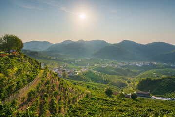 Wall Mural - Prosecco Hills, vineyards panorama in the morning. Unesco Site. Valdobbiadene, Italy