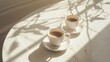 © TheWaterMeloonProjec - Two coffee cups on a white marble table in the morning sun