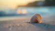 © CYBERPINK - A shell is laying on the sand at the beach