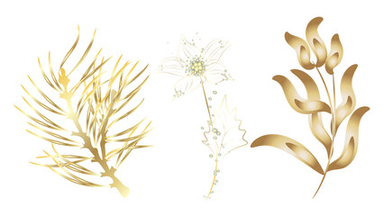 Wall Mural - Golden Line art botany. Golden fall dried gold flower elements, leaves branches on white background wallpapers, postcards, greeting cards, wedding invites.