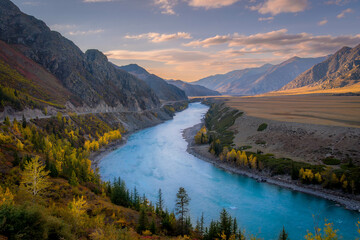 The blue water of Katun river, the autumn trees, in the mountain valley of Altai mountains in the Siberia, Russia, during the amazing sunset.
