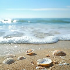Poster - An empty sand beach with delicate shells creates a peaceful scene by the summer sea. The foreground provides plenty of copy space for text.