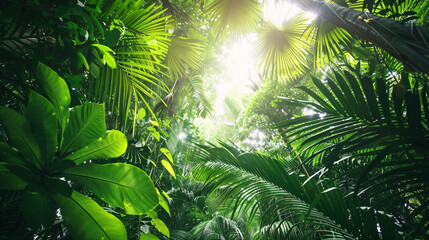 a group of green leaves