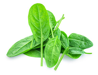 Wall Mural - Flying Spinach leaves isolated on white background. Levitating  Spinach leaf close up.