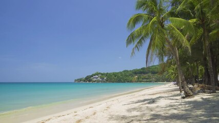 Wall Mural - Palm coconut tree studded at Kamala Beach with turquoise waters and pristine sand, Phuket, Thailand