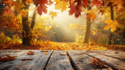 Wall Mural - The autumn leaves on the ground