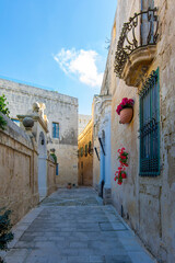 Canvas Print - The Mdina City street view in Malta