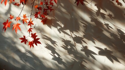 Wall Mural - maple tree leaves casting shadow on wall in abstract autumn scene