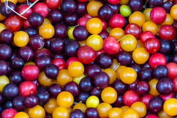 Ripe cherry plum fruit close-up. Organic fruits.