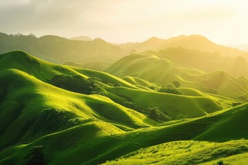 Poster - Rolling Green Hills Bathed in Golden Sunlight