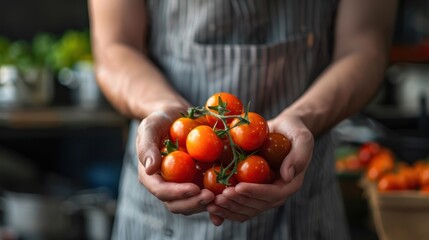 Wall Mural - Hands Holding Fresh Tomatoes