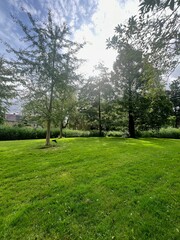 Sticker - Picturesque view of park with trees in summer