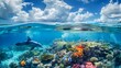 © Isabella - Above and below the surface of the Caribbean Sea with coral reefs