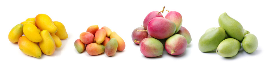 Wall Mural - mangos on a white background