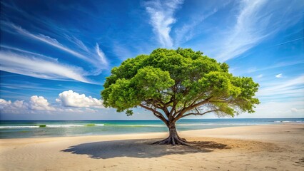 Canvas Print - Tree with green leaves standing on a sandy beach , tropical, nature, landscape, vacation, serene, peaceful, coastline