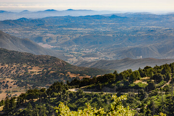 palomar mountain in northern san diego, california.