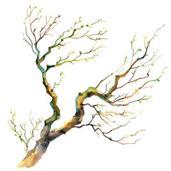 A vibrant illustration of a tree branch with colorful twisting branches and budding leaves, set against a transparent background