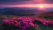 © Daisha - Pink Sunset Over Mountainous Landscape