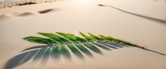 Canvas Print - A single green palm leaf rests on smooth sandy beach, casting a shadow in the sunlight  Perfect for tropical vacation, relaxation, and nature concepts