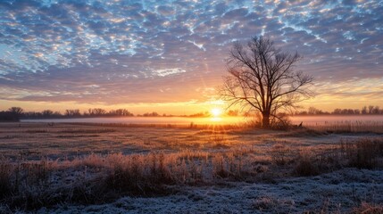 Wall Mural - The sun appears in the morning sky