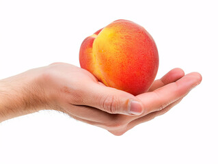 a hand holding a fruit