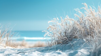 Wall Mural - Frosty Beach Grass