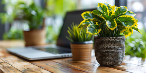 Creative digital programming language on dark background. Software developer and html concept. 3D Rendering.