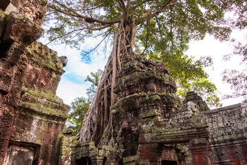 Wall Mural - Angkor Thom, ancient temple ruins in Cambodia jungle with tree roots