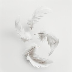 White feathers fly in the air, isolated on a white background