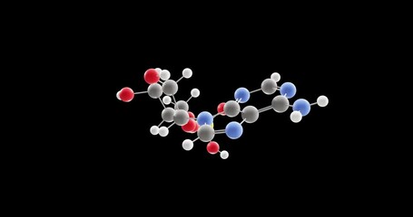 Canvas Print - Adenosine monophosphate molecule, rotating 3D model of 5-adenylic acid, looped video on a black background